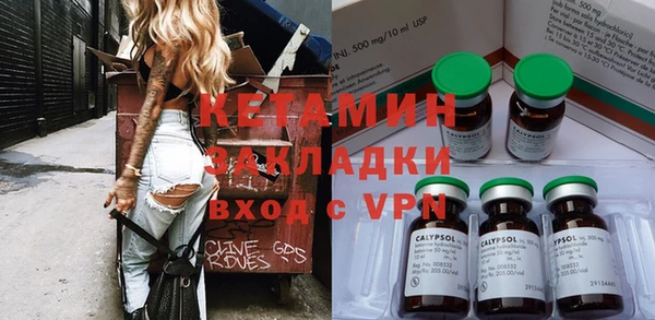 СК Новодвинск