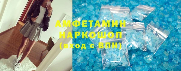 СК Новодвинск